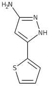 5-Amino-3-(2-thienyl)-1H-pyrazole, 98%