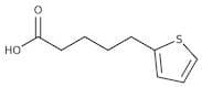 5-(2-Thienyl)pentanoic acid, 95%