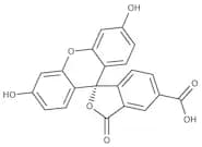 5-Carboxyfluorescein, single isomer, 97%