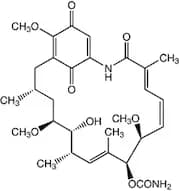Geldanamycin, 98+%