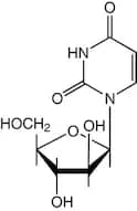 1-β-D-Arabinofuranosyluracil, 99%