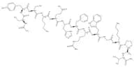 α-Melanocyte Stimulating Hormone amide