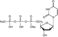 2'-Deoxyuridine-5'-triphosphate trisodium salt, 95%