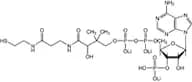 Coenzyme A trilithium salt, 95%