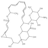 Natamycin, 95%