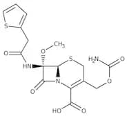 Cefoxitin, 98%