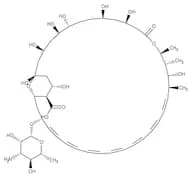 Amphotericin B, 250 μg/mL in distilled water, sterile-filtered