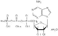 Adenosine-5'-triphosphate disodium salt hydrate, 99%, water <10%