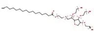 Polysorbate 40