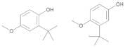 Butylated Hydroxyanisole 500 µg/mL in Methanol