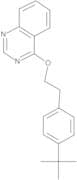Fenazaquin 10 µg/mL in Acetonitrile