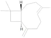 β-Caryophyllene 2000 µg/mL in Acetonitrile