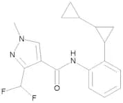 Sedaxane 100 µg/mL in Acetonitrile