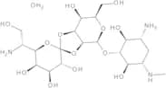Hygromycin B