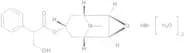 Scopolamine hydrobromide trihydrate