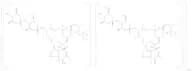 Nevada Pesticide Mixture Version 2 100 µg/mL in Acetonitrile