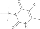 Terbacil 10 µg/mL in Isooctane