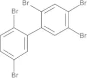 PBB No. 101 10 µg/mL in Cyclohexane