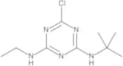 Terbuthylazine 100 µg/mL in Acetonitrile