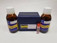 Reagecon Spectrophotometry Stray Light Inorganic 340 nm Cut-off Filter - Sodium Nitrite (ChP)