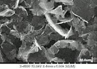 Graphene nanoplatelets, (2-10nm thick x ~5 microns wide)