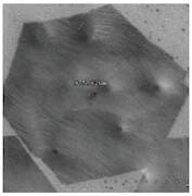 Monolayer High Strength Metallurgical Graphene, HSMG®, on PMMA (10x10 mm)
