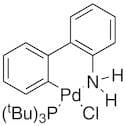 Chloro(tri-t-butylphosphine)(2'-amino-1,1'-biphenyl-2-yl)palladium(II), min. 98%