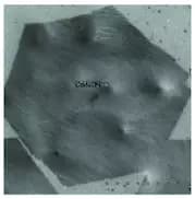 Monolayer High Strength Metallurgical Graphene, HSMG®, on PMMA (10x10 mm)