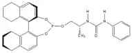 1-{(2R)-1-[(11bR)-8,9,10,11,12,13,14,15-Octahydrodinaphtho[2,1-d:1',2'-f][1,3,2]dioxaphosphepin-4-…