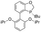 (R)-3-(tert-Butyl)-4-(2,6-diisopropoxyphenyl)-2,3-dihydrobenzo[d][1,3]oxaphosphole, 97% (>99% ee)