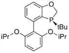 (S)-3-(tert-Butyl)-4-(2,6-diisopropoxyphenyl)-2,3-dihydrobenzo[d][1,3]oxaphosphole, 97% (>99% ee)