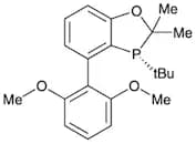 (R)-3-(tert-Butyl)-4-(2,6-dimethoxyphenyl)-2,2-dimethyl-2,3-dihydrobenzo[d][1,3]oxaphosphole, 97% …