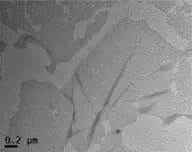 Nickel/palladium alloy nanoparticle on graphene (G-Ni₃₃Pd₆₇)