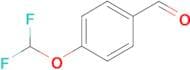 4-(Difluoromethoxy)benzaldehyde