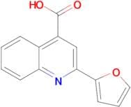 2-Furan-2-ylquinoline-4-carboxylic acid