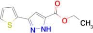 Ethyl 3-(thien-2-yl)pyrazole-5-carboxylate