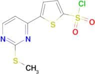 5-[2-(Methylthio)pyrimidin-4-yl]thiophene-2-sulfonyl chloride
