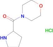 Morpholin-4-yl-pyrrolidin-2-yl-methanone hydrochloride