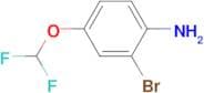 2-Bromo-4-(difluoromethoxy)aniline