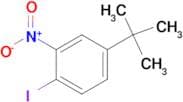 4-Iodo-3-nitro-tert-butylbenzene