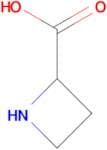 Azetidine-2-carboxylic acid