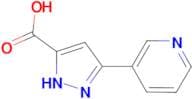 5-Pyridin-3-yl-1H-pyrazole-3-carboxylic acid