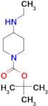 Tert-Butyl 4-(ethylamino)piperidine-1-carboxylate