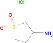 1,1-Dioxidotetrahydrothien-3-ylamine hydrochloride
