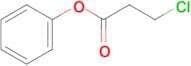 Phenyl 3-Chloropropanoate