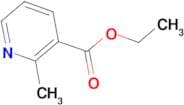 Ethyl 2-Methylnicotinate