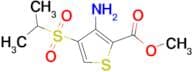 Methyl 3-Amino-4-(isopropylsulfonyl)thiophene-2-carboxylate