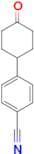 4-(4-Oxocyclohexyl)benzonitrile