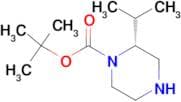 Tert-Butyl (2R)-2-isopropylpiperazine-1-carboxylate