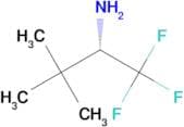 (S)-2,2-Dimethyl-1-trifluoromethyl-propylamine